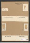 Diatomeae indet. Zeichnungen Sammlung Grunow Nr. 3743 (NHMW-BOT-W0371388)